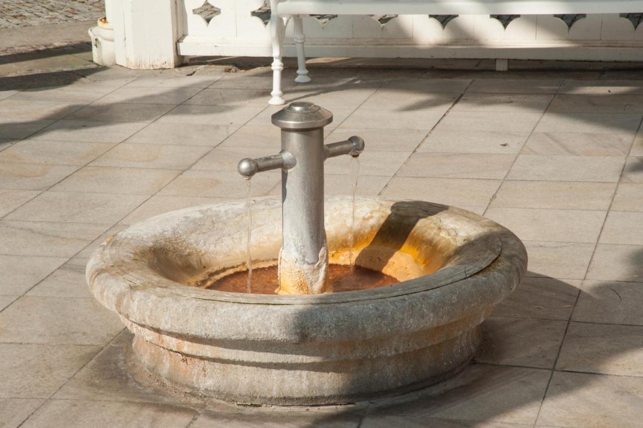 קרלובי וארי Spa Moser Apartments מראה חיצוני תמונה